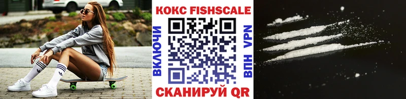 где купить наркоту  Новая Ладога  COCAIN Columbia 