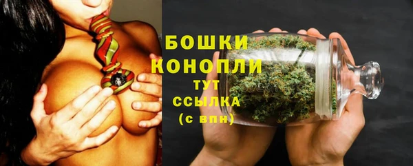 сатива Баксан