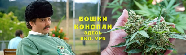 сатива Баксан