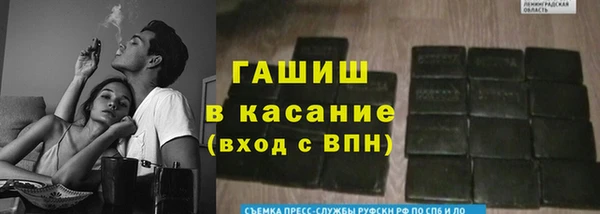 сатива Баксан