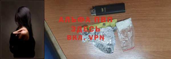 сатива Баксан