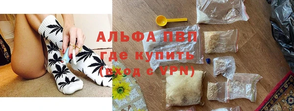 сатива Баксан